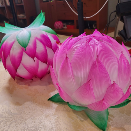 Two pink lotus flower lanterns